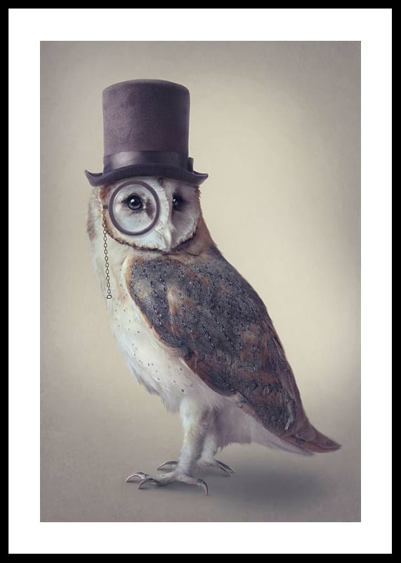Potter Owl-12