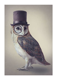 Illustrated owl with top hat and monocle in muted colors-1