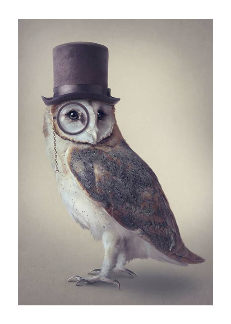 Illustrated owl with top hat and monocle in muted colors-12