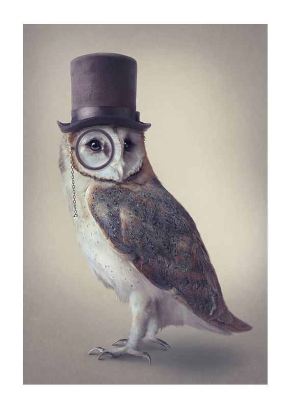 Potter Owl-12