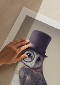 Illustrated owl with top hat and monocle in muted colors-9