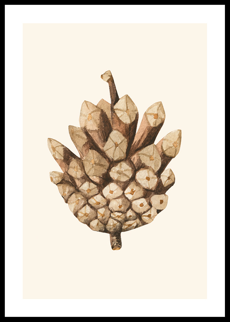 Ilustrație în acuarelă a unui con de pin în tonuri de maro pe fundal bej-12