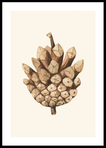 Plakāts Painted Cone