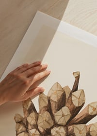 Ilustrație în acuarelă a unui con de pin în tonuri de maro pe fundal bej-9