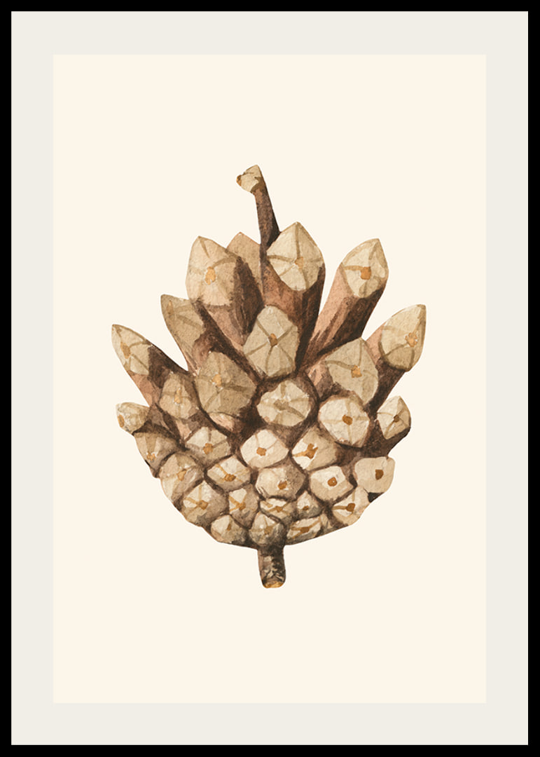Ilustrație în acuarelă a unui con de pin în tonuri de maro pe fundal bej-12