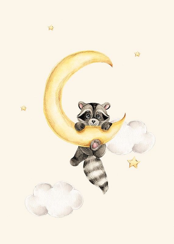 Raccoon And Moon-12