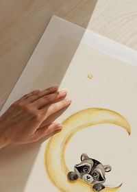 Raccoon And Moon-5