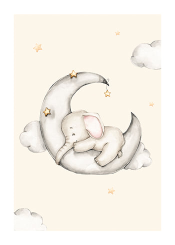 Poster Sleeping Elephant