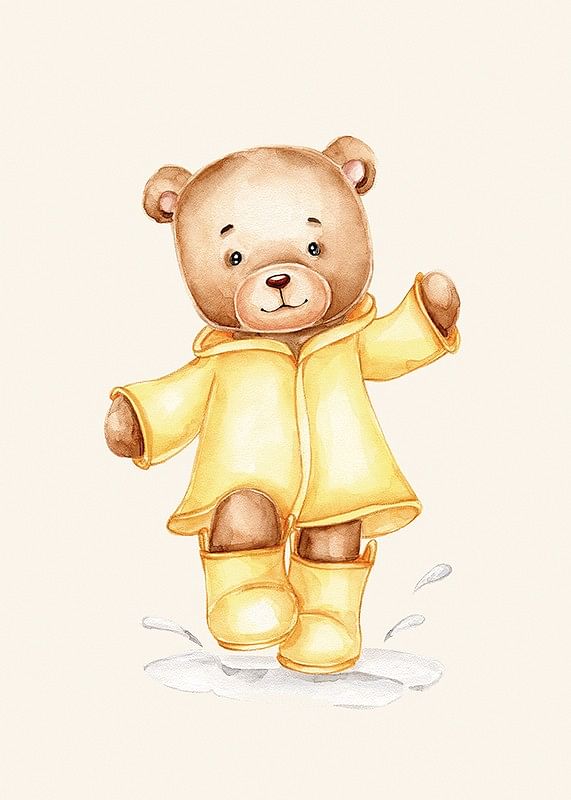 Raincoat Teddy-12
