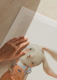 Hare With A Ball-5