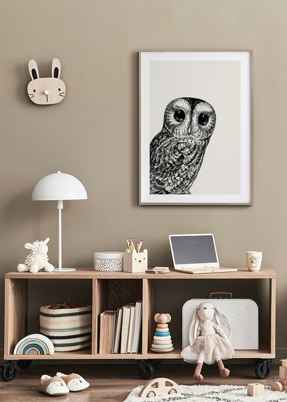  Watching owl crossfade