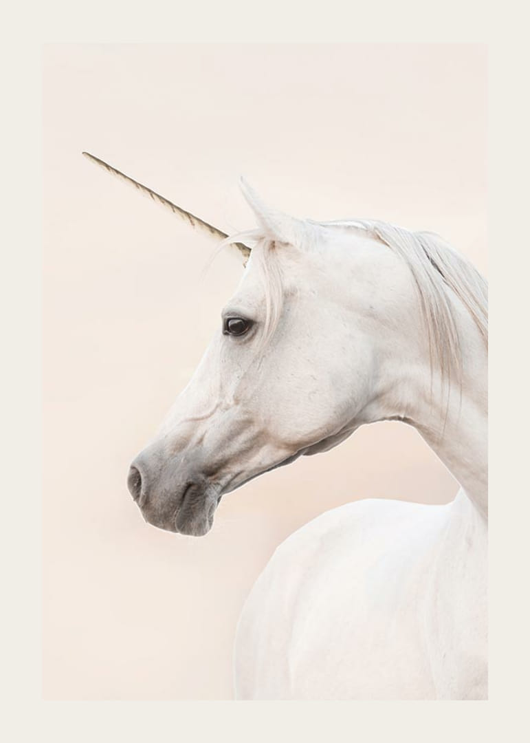 Närbild av vit enhörning med långt horn mot ljus bakgrund-12