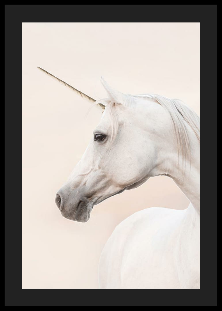 Närbild av vit enhörning med långt horn mot ljus bakgrund-12