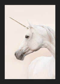 Närbild av vit enhörning med långt horn mot ljus bakgrund-5