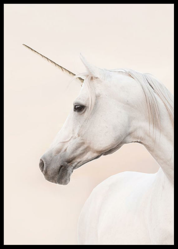 Unicorn-12