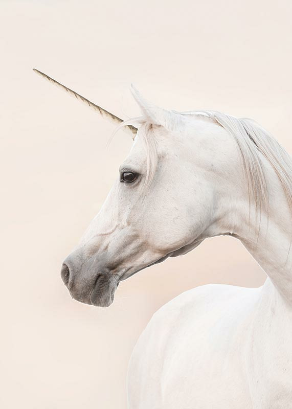 Close-up of white unicorn with long horn against light background-12