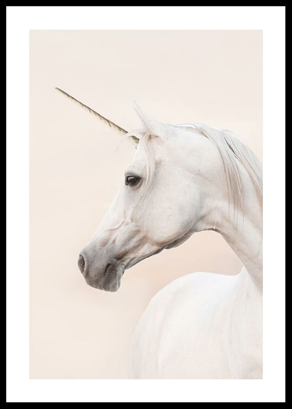 Unicorn-12
