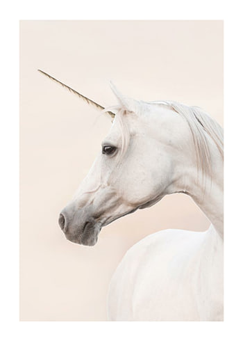 Plakat Unicorn