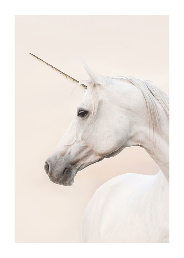 Close-up of white unicorn with long horn against light background-12