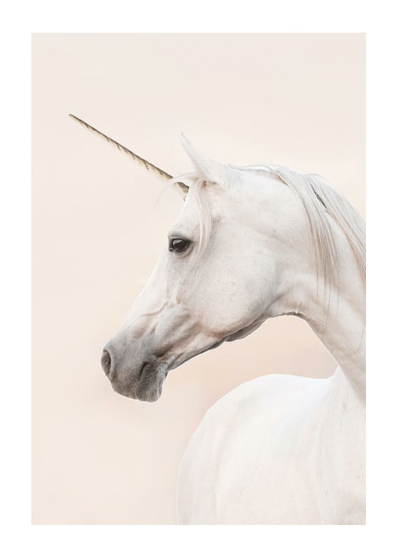 Unicorn-12