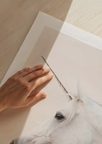 Close-up of white unicorn with long horn against light background-9
