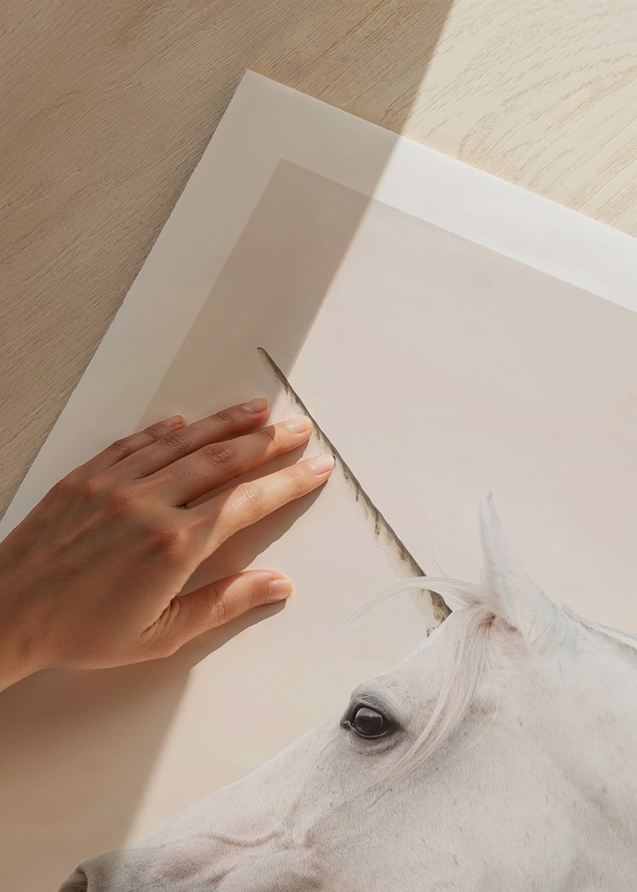 Close-up of white unicorn with long horn against light background-12