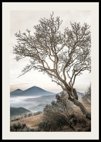 Fotografisk træ uden blade på en bjergskråning med tågede bjerge-2