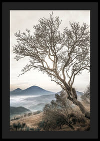 Fotografisk træ uden blade på en bjergskråning med tågede bjerge-4