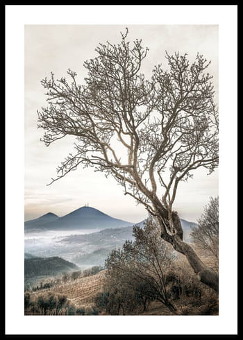 Poster Lonely Tree Against Sky