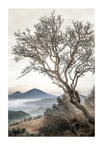 Poster Lonely Tree Against Sky