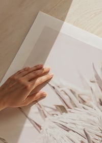 Close-up of light pink protea flower against soft beige background-9
