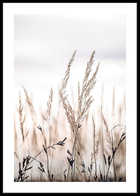 Sunset In The Field-0