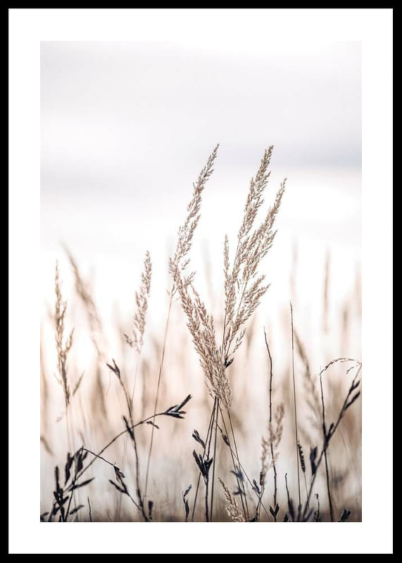 Sunset In The Field-12