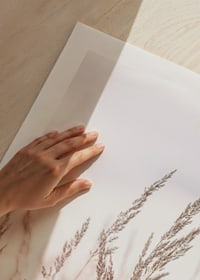 Valokuva korkeista, kuivuneista ruohonkorsista kirkasta taivasta vasten-9