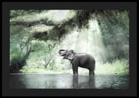 Fotóelefánt zöld dzsungelben napsugarakkal-4