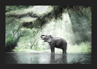 Fotóelefánt zöld dzsungelben napsugarakkal-5