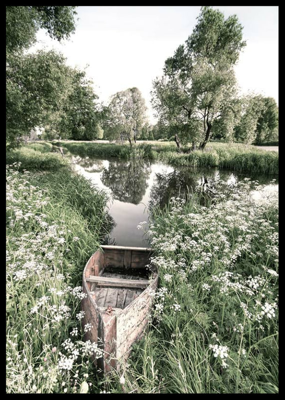 Fotografi av gammal roddbåt bland gräs vid lugn å-12