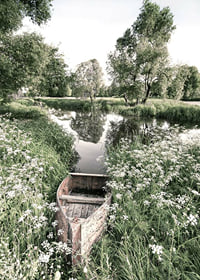 Fotografi av gammal roddbåt bland gräs vid lugn å-7