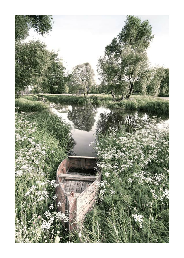 Fotografi av gammal roddbåt bland gräs vid lugn å-12