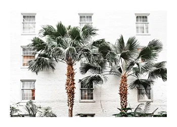 Affiche City Palms