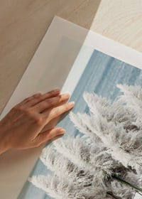 Fotografi av vita toitoigräs i närbild vid havet-9