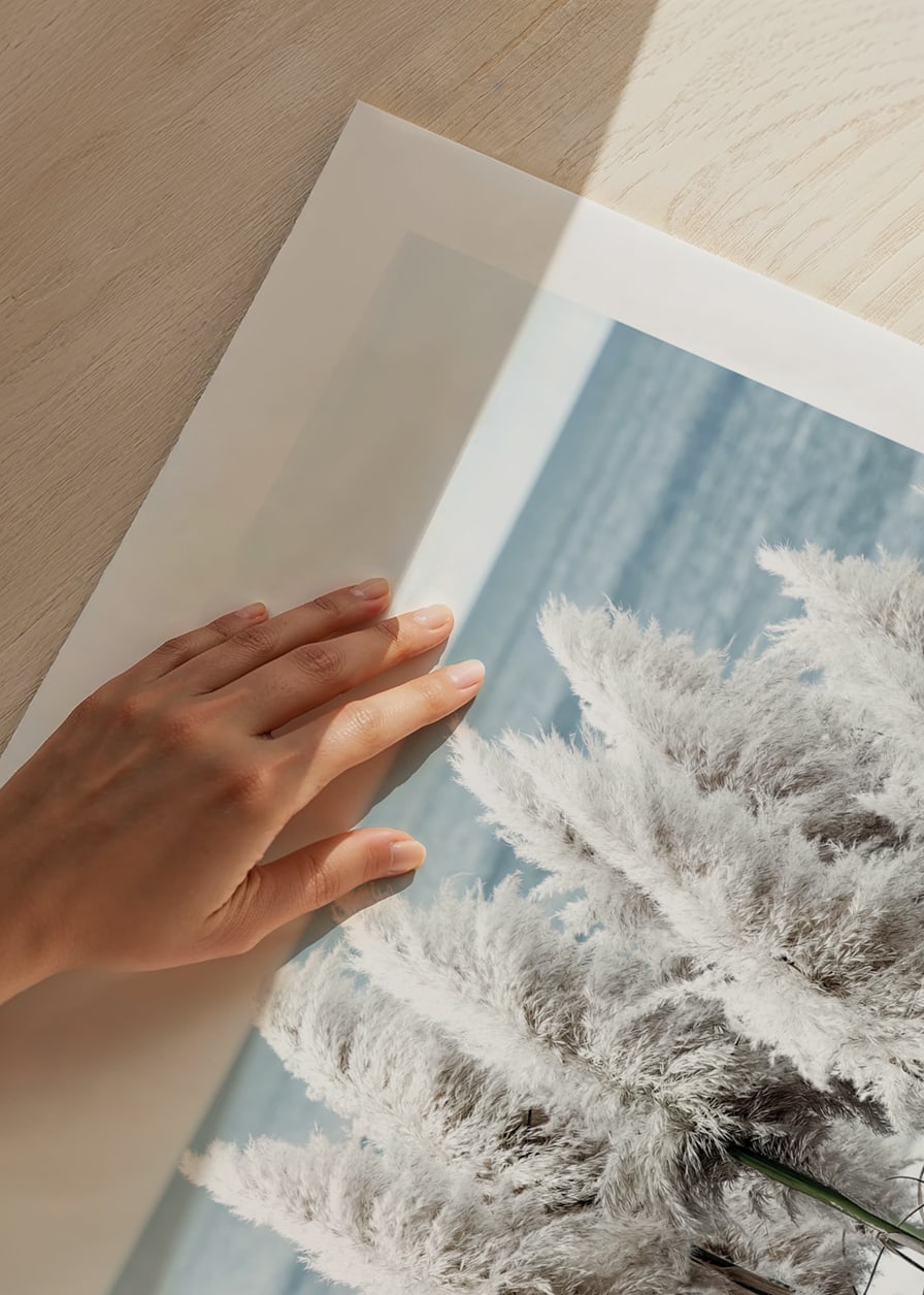 Fotografi av vita toitoigräs i närbild vid havet-12