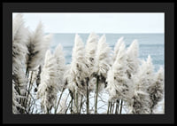 Fotografi av vita toitoigräs i närbild vid havet-4