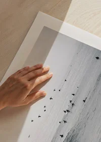 Photographic motif with surfers and birds by ocean waves-3