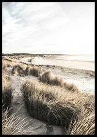 Photographic motif of sand dunes and beach in soft evening light-6