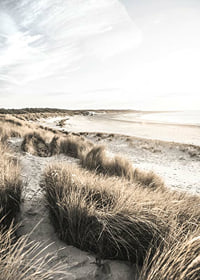 Photographic motif of sand dunes and beach in soft evening light-7