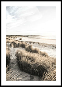 Photographic motif of sand dunes and beach in soft evening light-0