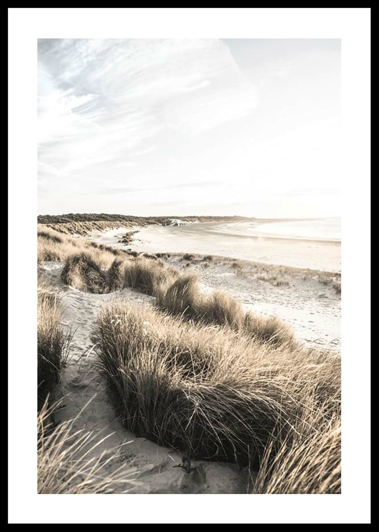 Photographic motif of sand dunes and beach in soft evening light-12
