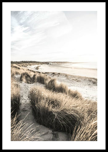 Poster Sand Dunes At Sunset