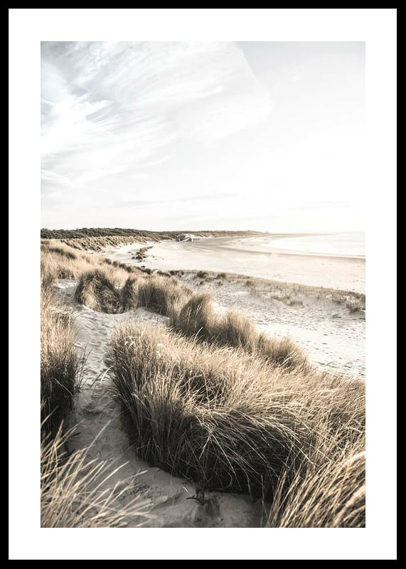 Sand Dunes At Sunset-12